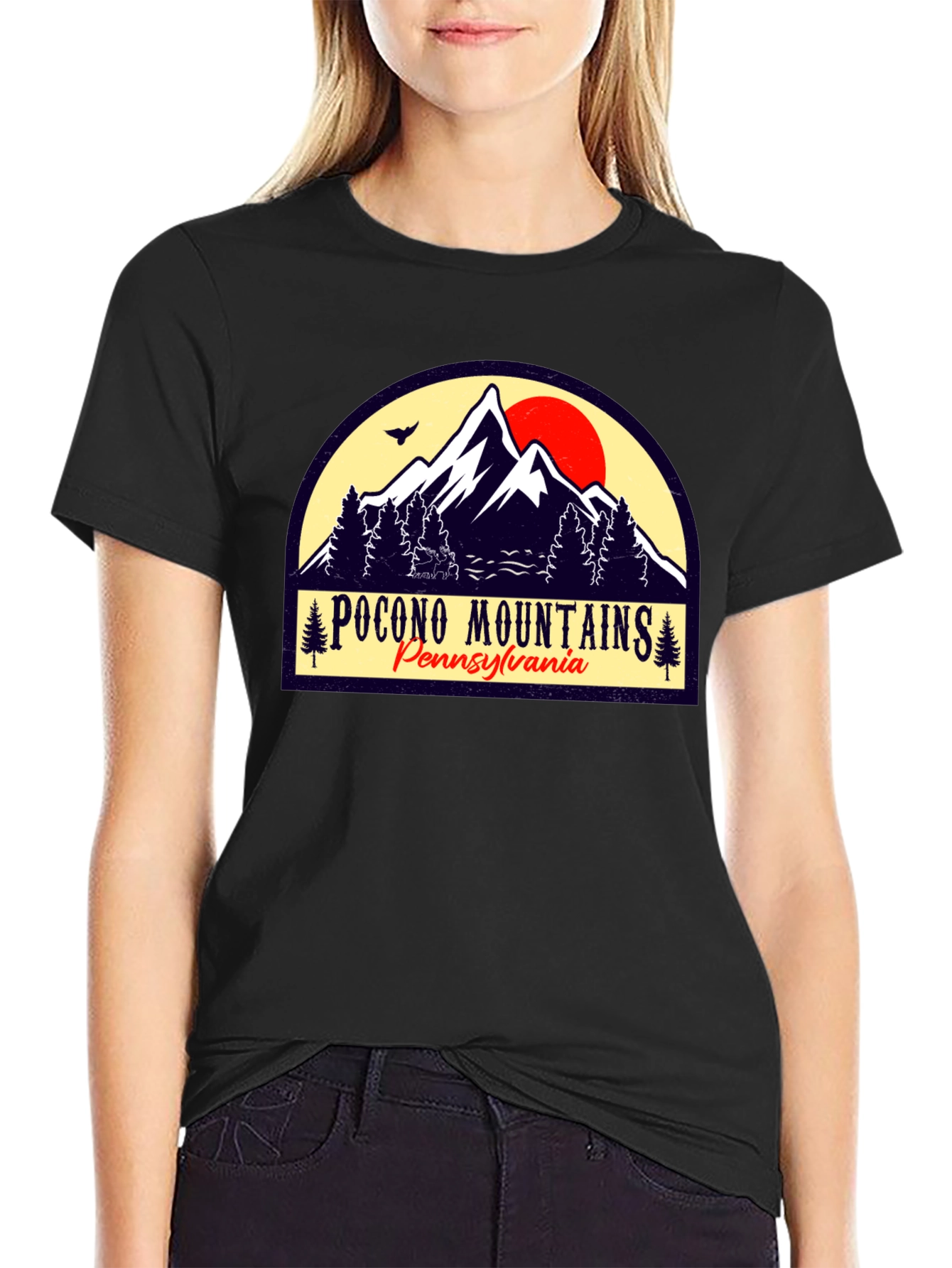 Pocono Mountains Black Graphic T-Shirt