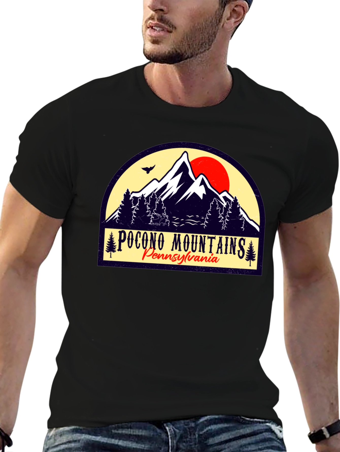 Pocono Mountains Black Graphic T-Shirt