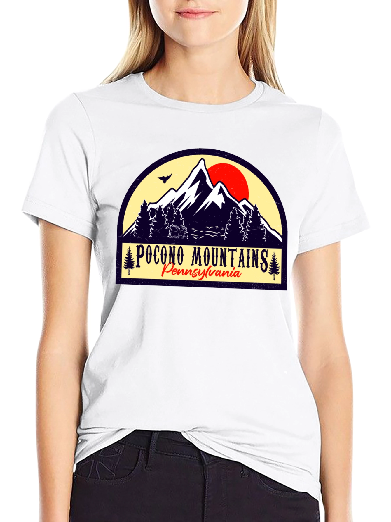 Pocono Mountains Black Graphic T-Shirt