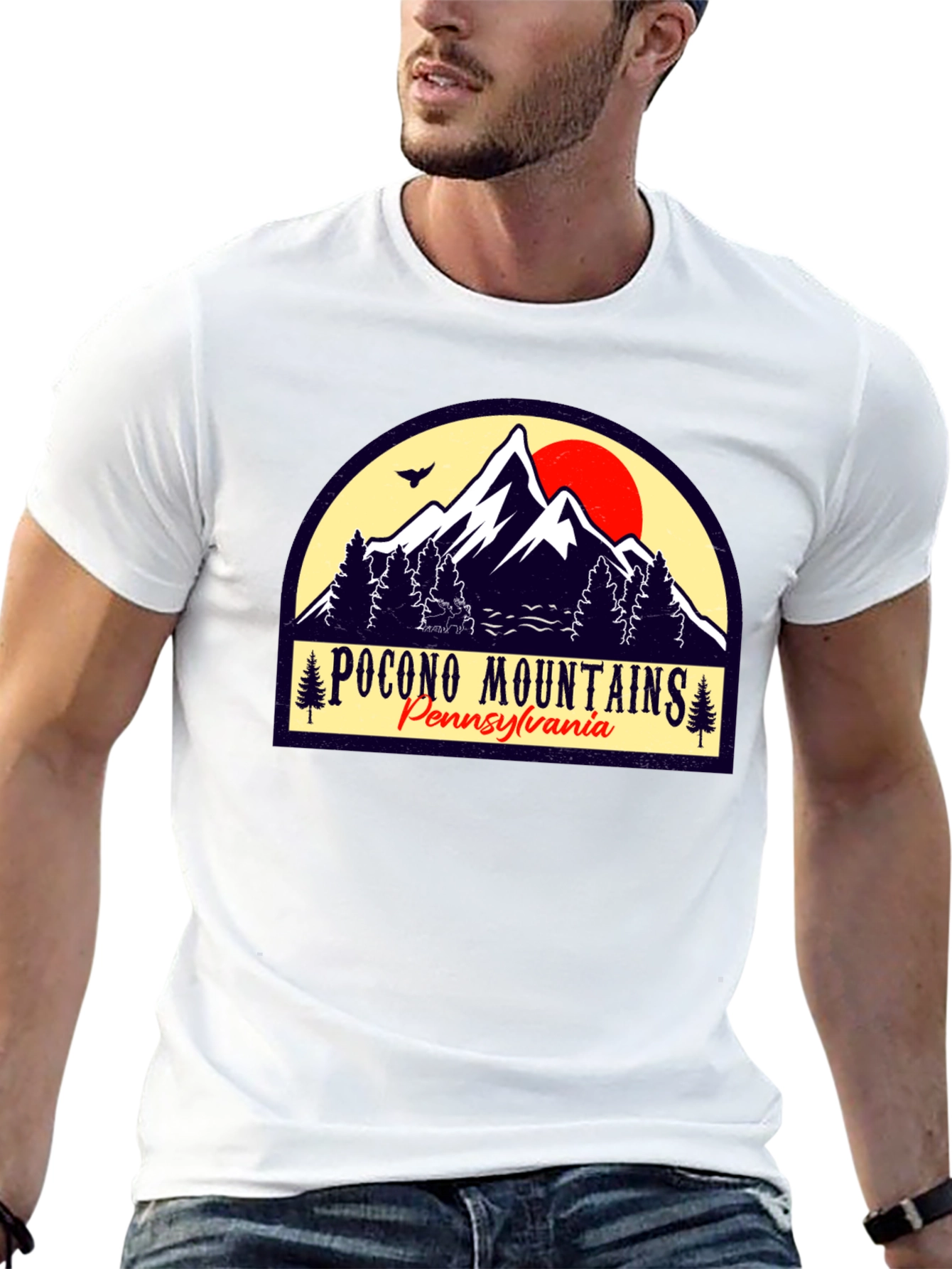 Pocono Mountains Black Graphic T-Shirt