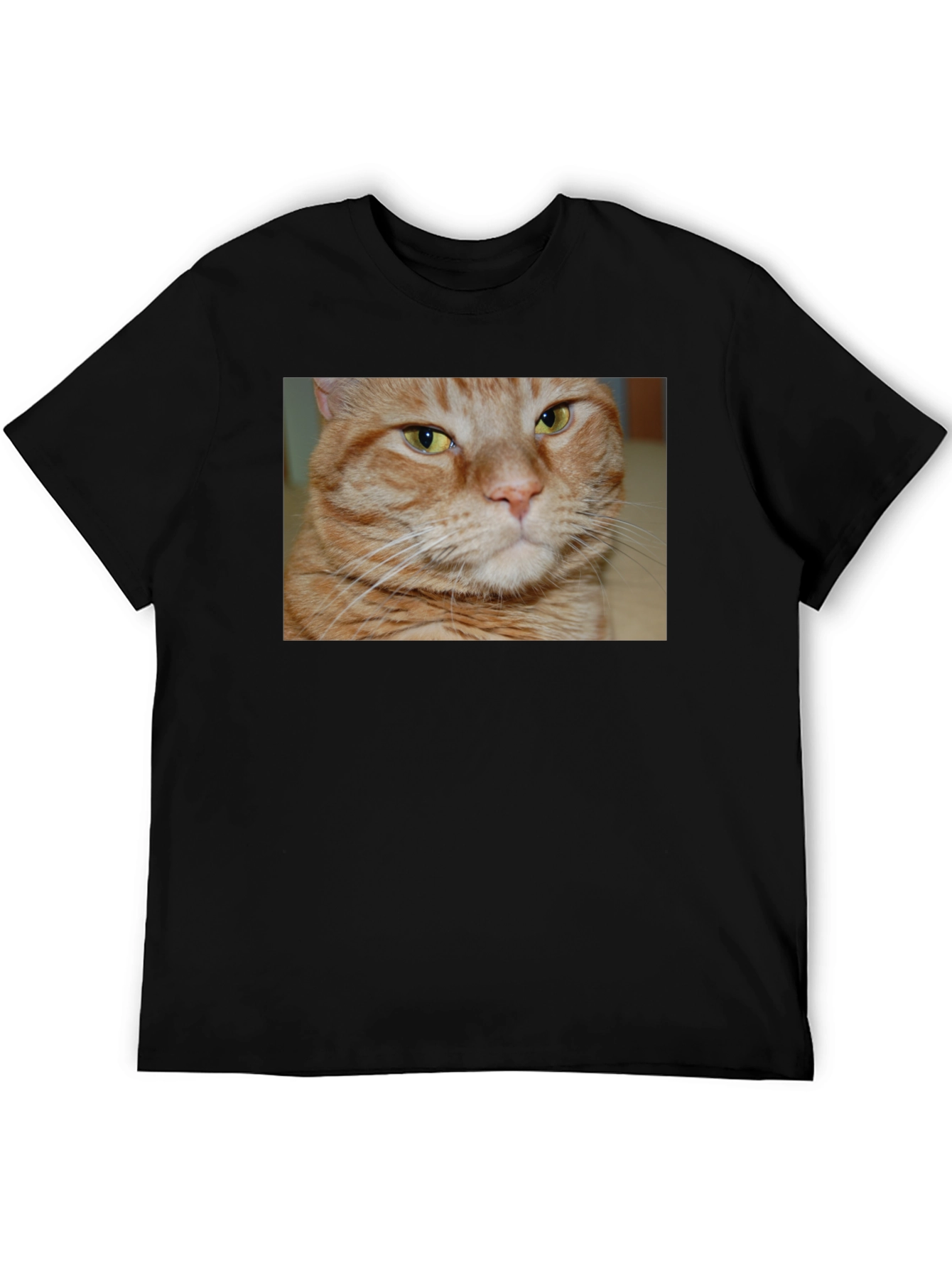 Ginger Cat Graphic T-Shirt - Mens Black Tee