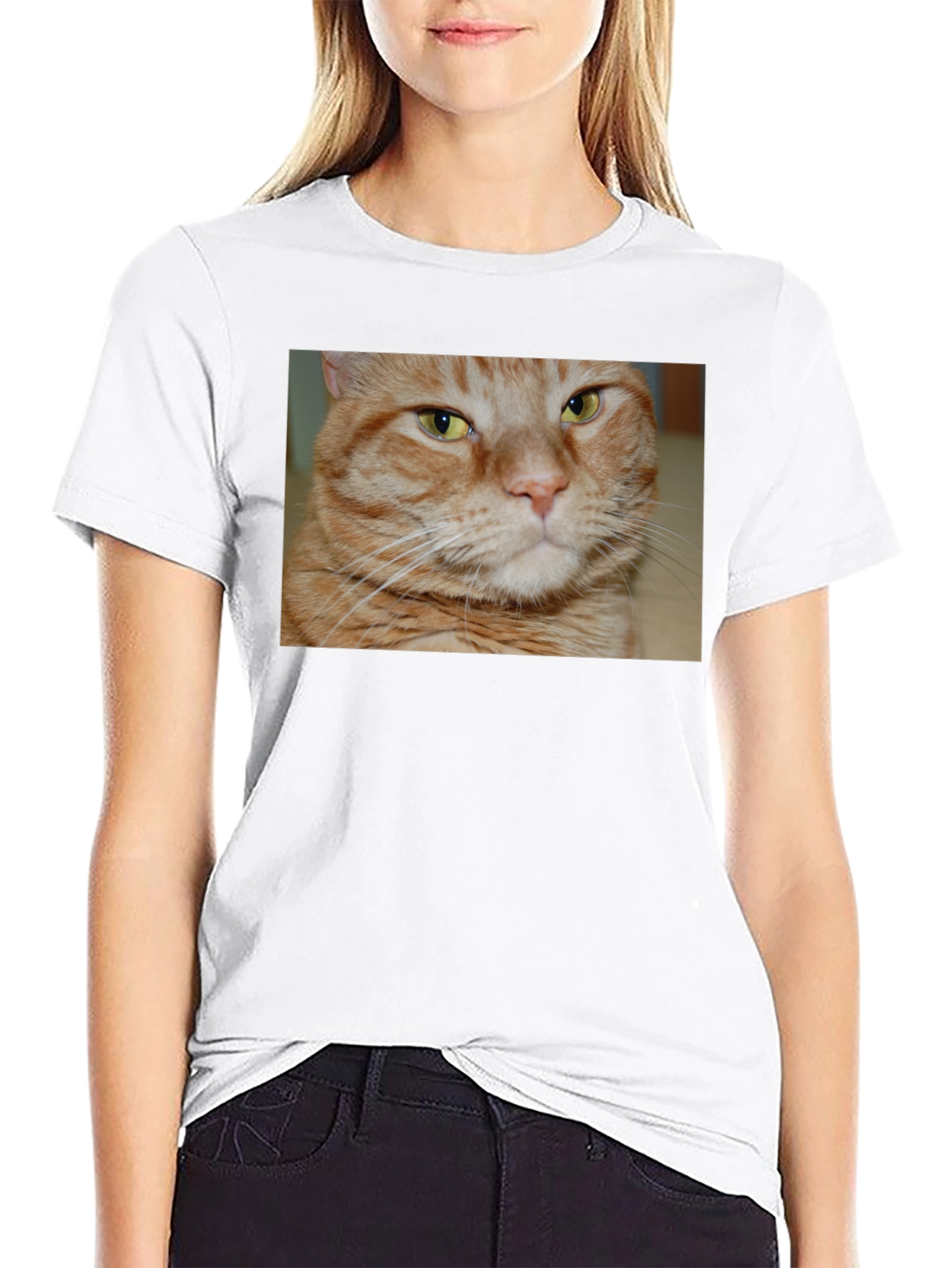 Ginger Cat Graphic T-Shirt - Mens Black Tee