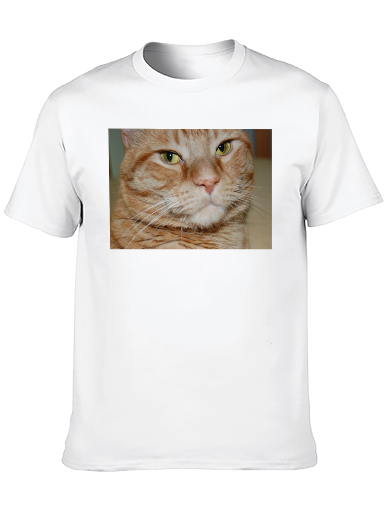 Ginger Cat Graphic T-Shirt - Mens Black Tee
