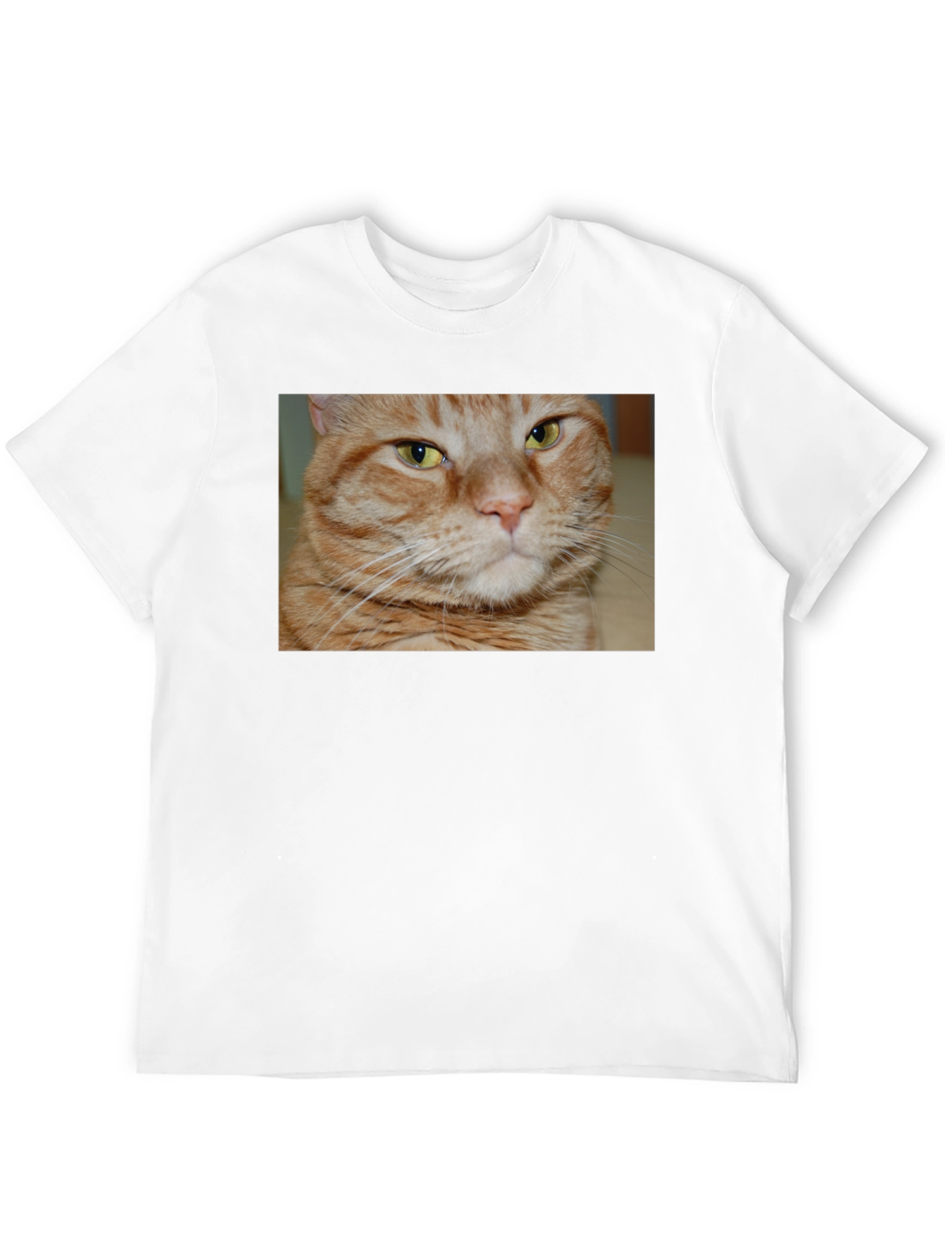 Ginger Cat Graphic T-Shirt - Mens Black Tee