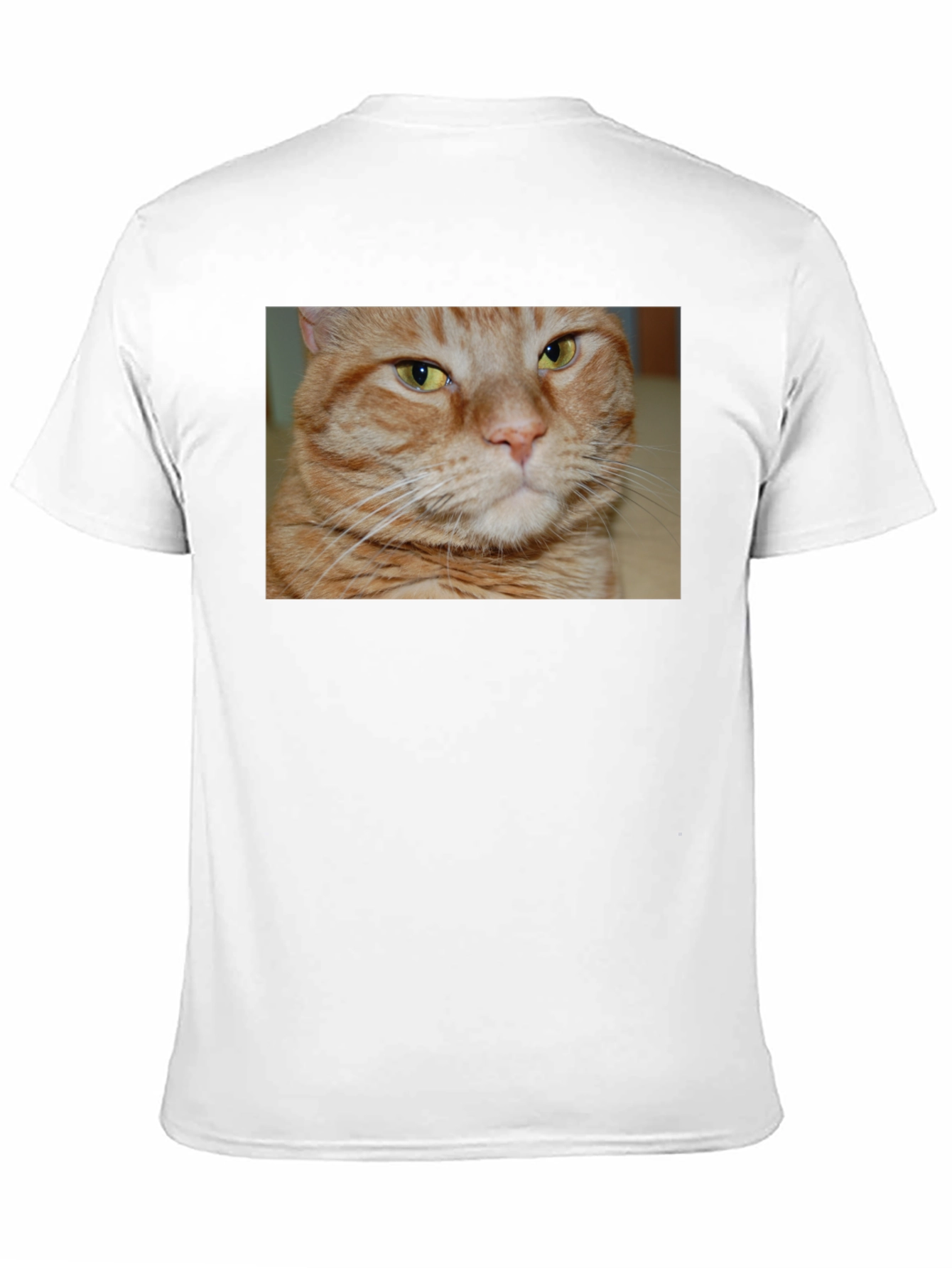 Ginger Cat Graphic T-Shirt - Mens Black Tee