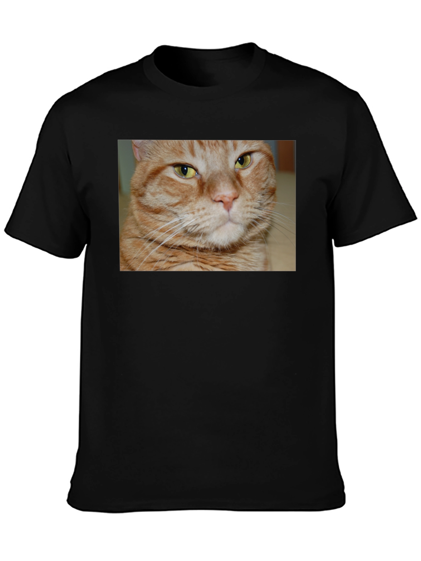 Ginger Cat Graphic T-Shirt - Mens Black Tee