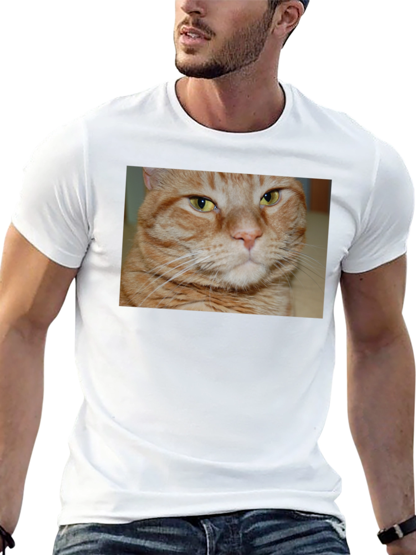 Ginger Cat Graphic T-Shirt - Mens Black Tee