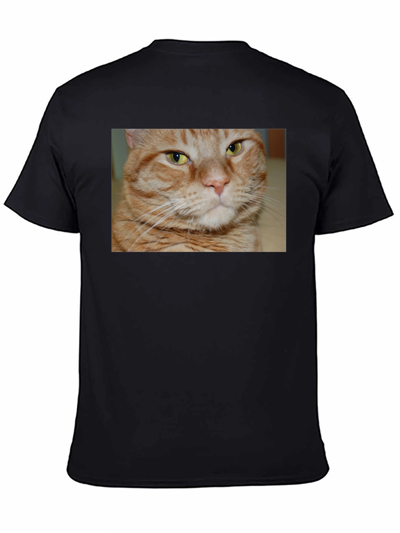Ginger Cat Graphic T-Shirt - Mens Black Tee